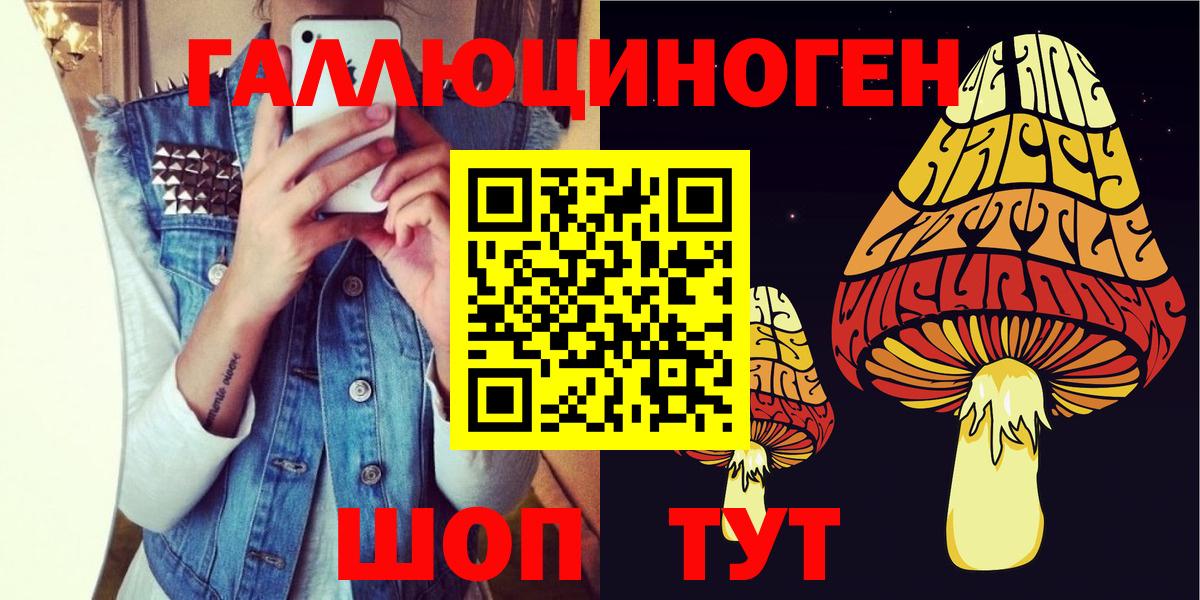 Псилоцибиновые грибы прущие грибы  Псилоцибиновые грибы Cubensis  Вход с VPN  Дагестанские Огни 