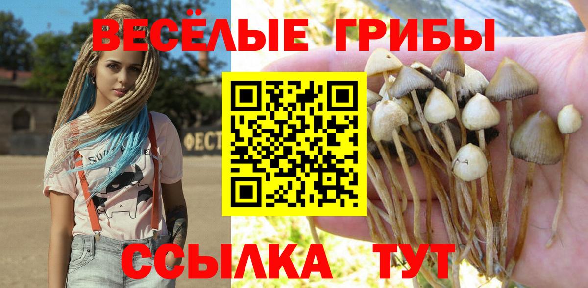 Галлюциногенные грибы ЛСД Дагестанские Огни