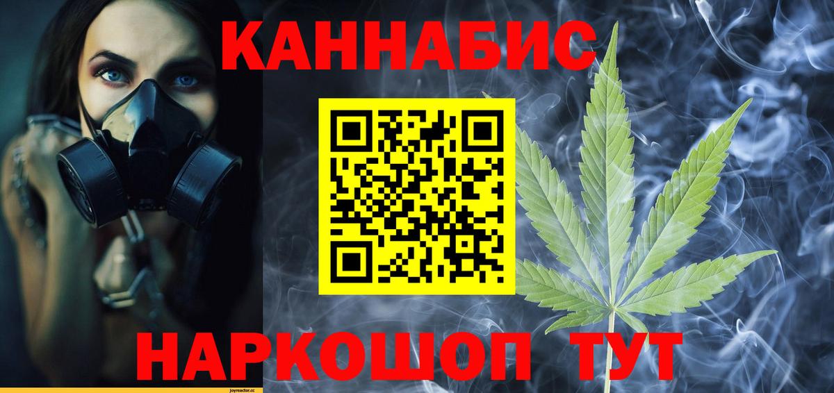 Конопля семена  Вход с VPN  Марихуана гибрид  Дагестанские Огни  Бошки Шишки Amnesia 